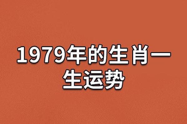 1959年出生的人命缺什么？运势与人生的探索之旅