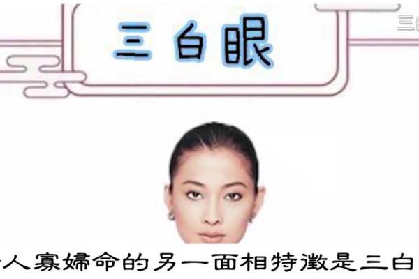 1959年出生的人命缺什么？运势与人生的探索之旅