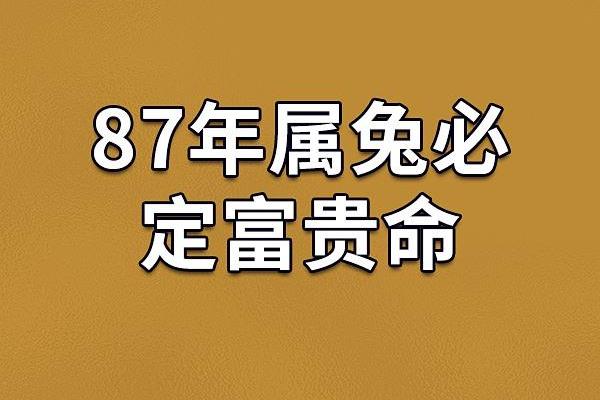42岁属兔人的命运解析：智慧与机遇的交织之路