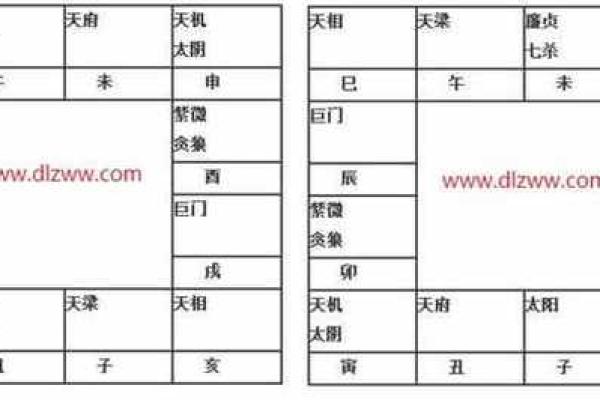 太阴坐命适合的职业选择与发展路径