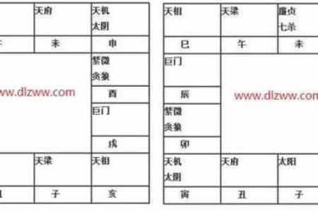 太阴坐命适合的职业选择与发展路径