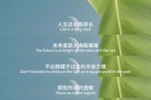 男生女命：揭开命格的神秘面纱，如何影响你的人生轨迹？