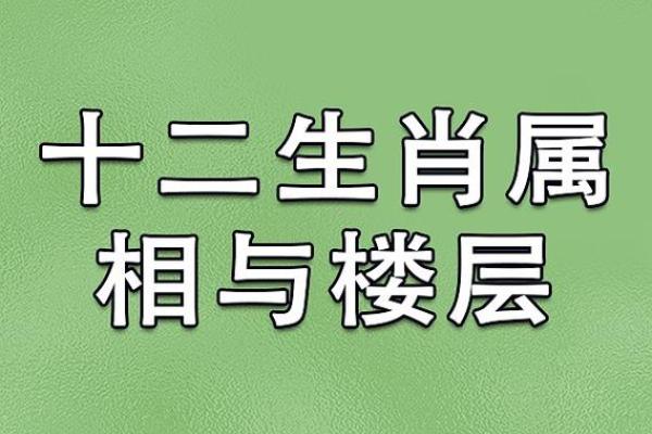 根据属相与命理选择适合的车辆类型