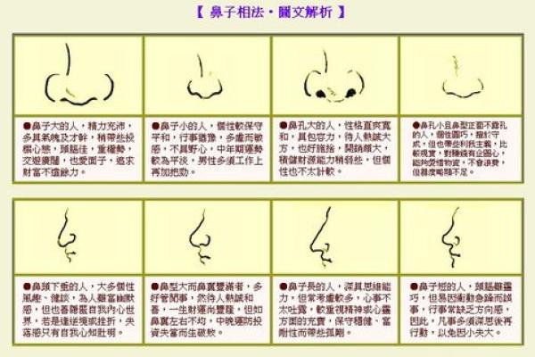 鼻子中间突出的命理解析：面相揭秘与人生影响