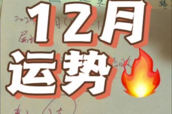 2014年出生的属马人:金命运势与生活智慧探秘 2014年出生的属马人:金命运势与生活智慧探秘