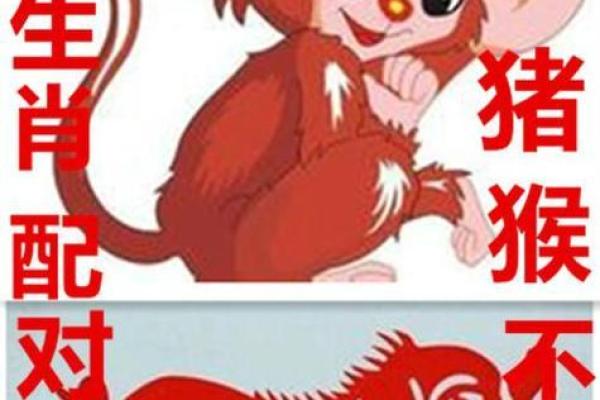 1995年出生的人，属猪，命理解析与人生启示