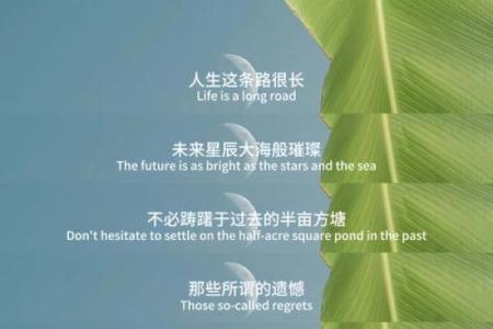 男生女命：揭开命格的神秘面纱，如何影响你的人生轨迹？