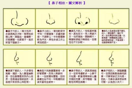 鼻子中间突出的命理解析：面相揭秘与人生影响