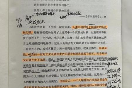 64岁虚岁属相与命运之谜：探寻人生的智慧与方向