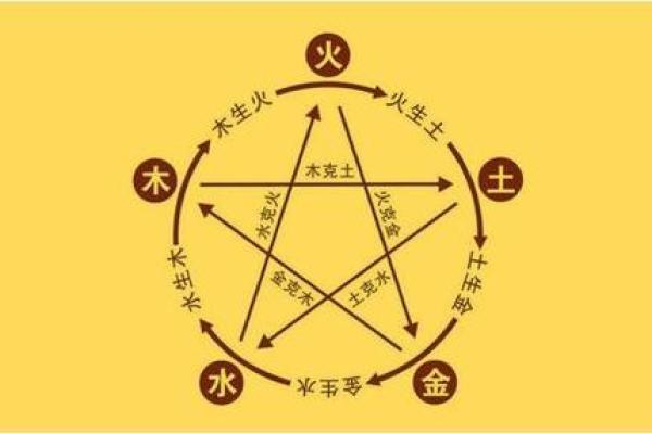 探秘1981木命：探索木之灵动与人生哲学