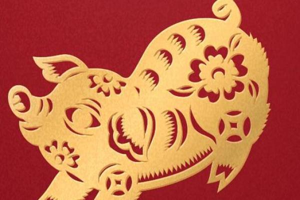 17岁属猪的命运解析：猪年少年的人生特征与机遇