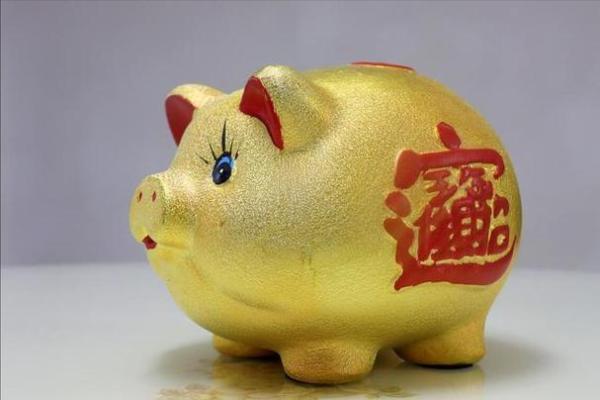 17岁属猪的命运解析：猪年少年的人生特征与机遇