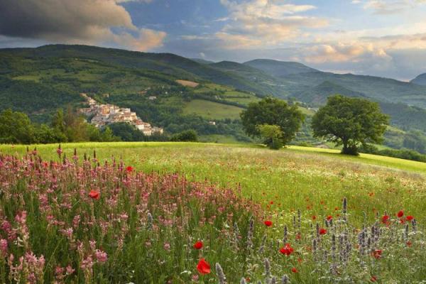 女人命运与机遇：如何铸就更美好的未来