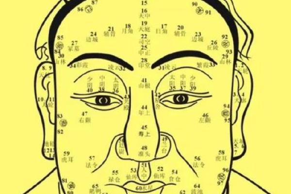 57年属狗的人命理解析：性格、命运与人生挑战