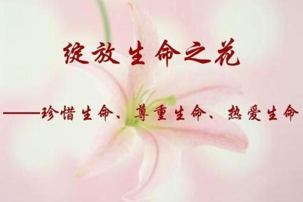 认清自己是什么命，让生命绽放光彩的秘密