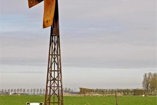 79年羊土命与哪些命人合财最为理想？