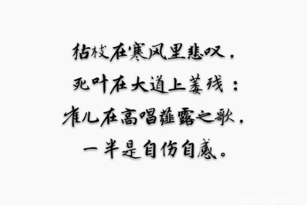 农历11.27出生的人命理解析：命运与性格的深度剖析