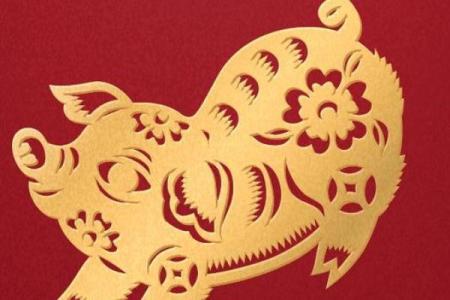 17岁属猪的命运解析：猪年少年的人生特征与机遇