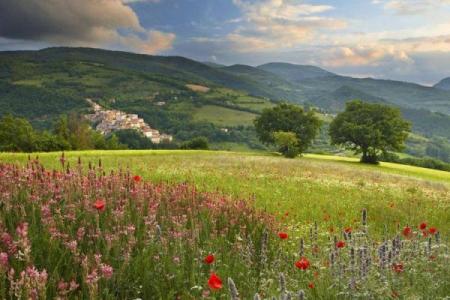 女人命运与机遇：如何铸就更美好的未来