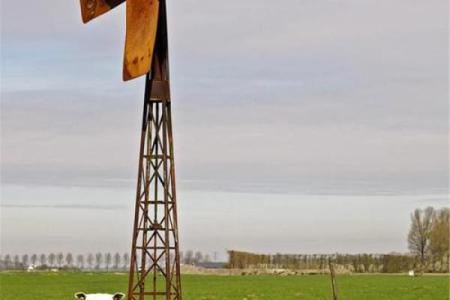 79年羊土命与哪些命人合财最为理想？