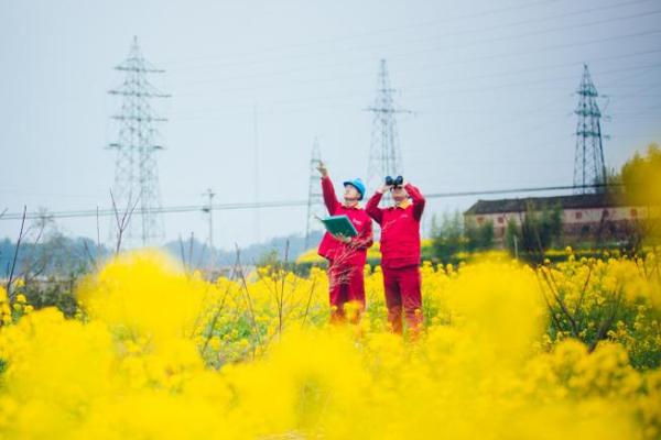 水土多命，生机勃勃的人生图景