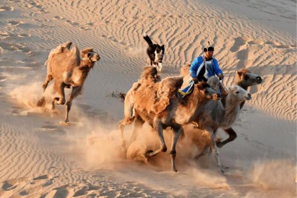 生命中的信仰之旅：从孤独走向彼此相依的心灵之路