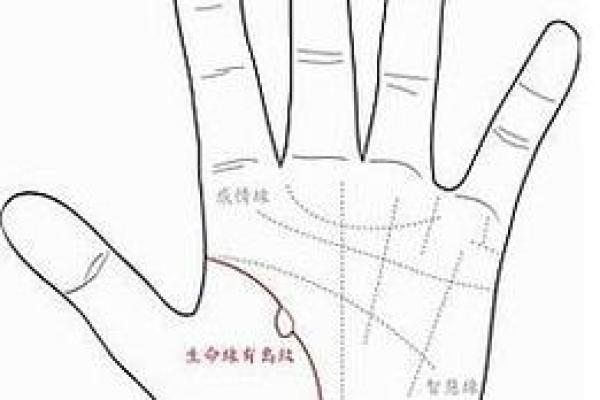 如何判断自己是金命还是其他命理？探寻命理的奥秘与自我认知