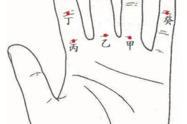 如何判断自己是金命还是其他命理？探寻命理的奥秘与自我认知