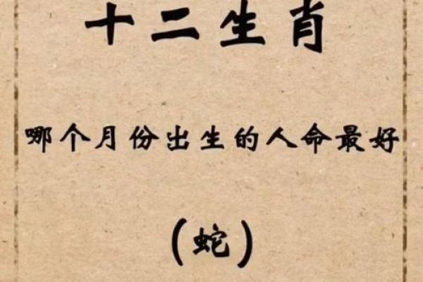 1953年出生的生肖命运解析：每个角落都有惊喜与挑战！