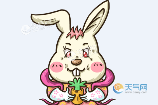 1951年属兔人的命运与性格解析：一生的秘密揭晓