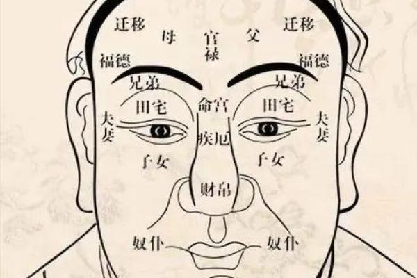 男人眉型与命运的关系：如何通过眉形找到人生方向