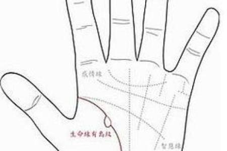 如何判断自己是金命还是其他命理？探寻命理的奥秘与自我认知