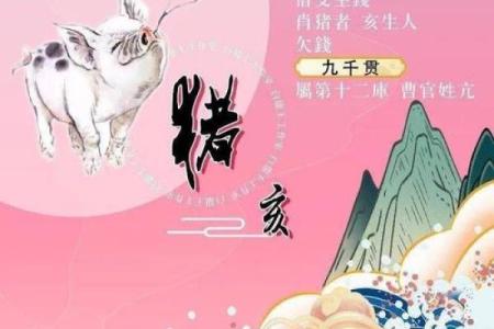 深入解读95属猪男的命格与人生运势