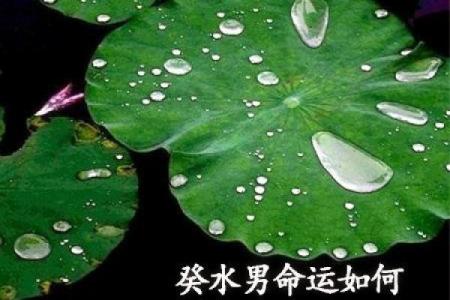 三金三水男命解析：命运之河中的金与水交融之道