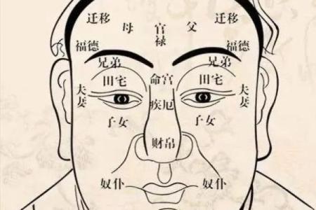 男人眉型与命运的关系：如何通过眉形找到人生方向