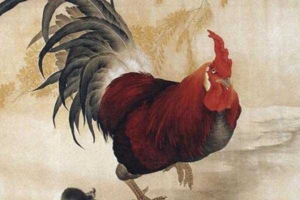 属鸡生在酉时：命理解析与人生运势探索