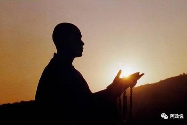 杀生一命还一命：生命的意义与价值深思