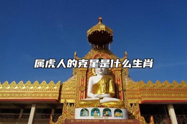 生肖虎的命运解析：探索虎年的神秘特征与命人运势