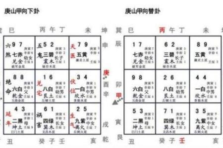属猪者的命理解析：卦象与四命的深度解读