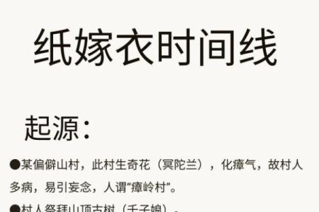 24号出生人的命运与性格解析：神秘数字背后的力量与智慧