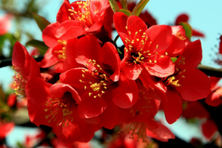 属相女谁最享福，天生顺风顺水的命运解析