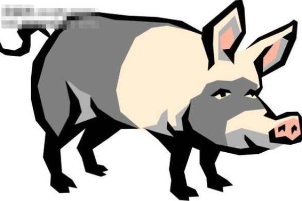 1947年的猪：命运与性格的奇妙解读