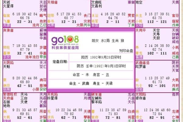 属猪钗钏金命与哪些命格最为相配？深入探讨提升运势的秘诀