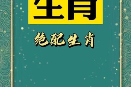 65岁生肖与命运解析：老年生活的智慧与启示