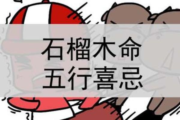 石榴木命：那些与你不合的命格与生活中的应对之道
