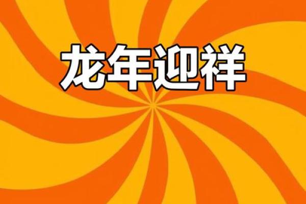 2024年龙年来临，探索龙年的生肖命运与生活启示