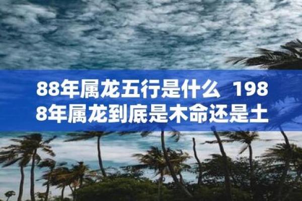 2020年是什么土命？探寻土命人的独特魅力与人生轨迹