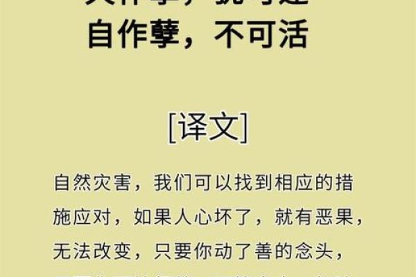 2029：解码属相与命运的奥秘，探寻人生的可能性与选择