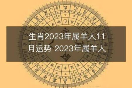 2016年羊年：命运的课堂与人生的成长