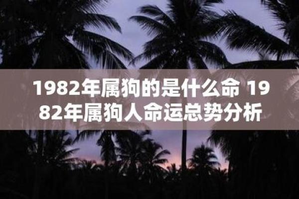 2023年属狗人命理分析:缺什么颜色,如何提升运势? 2023年属狗人命理分析:缺什么颜色,如何提升运势?